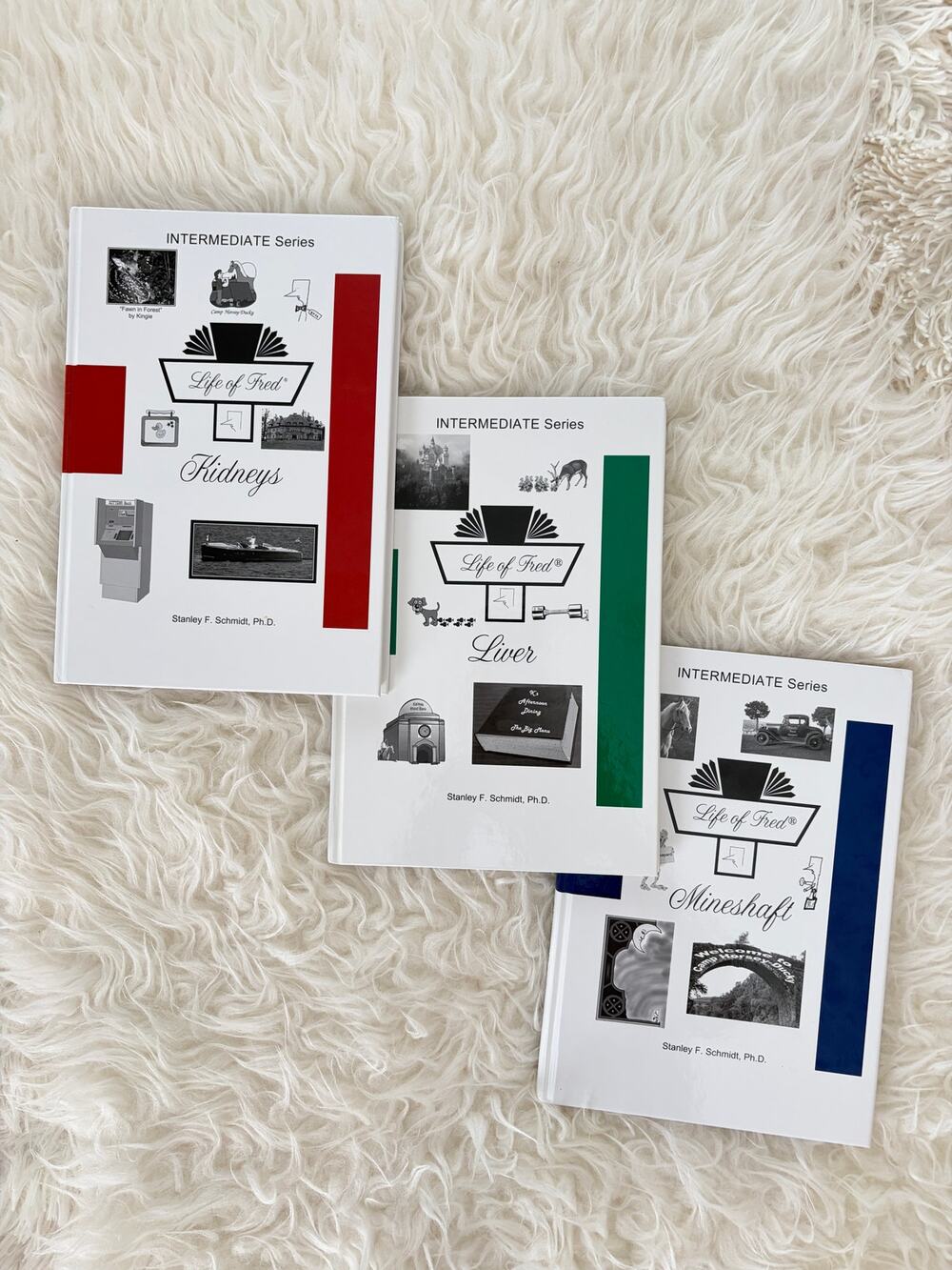 Life Of Fred Math - Intermediate Series Complete Set (3 Books)